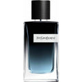Ysl Y