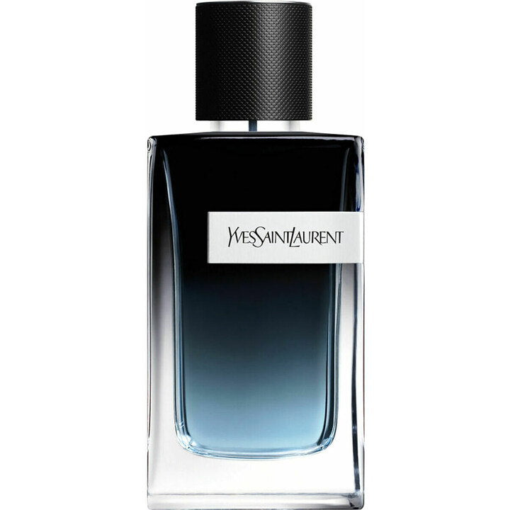 Ysl Y